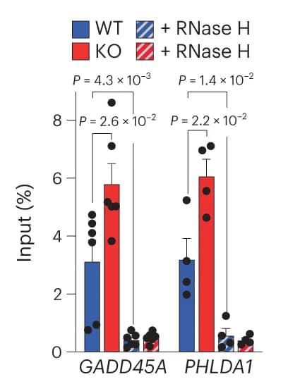 Open access visualization of Bar Plot, Error Bars, Clustered, DRIP-qPCR, Genes
