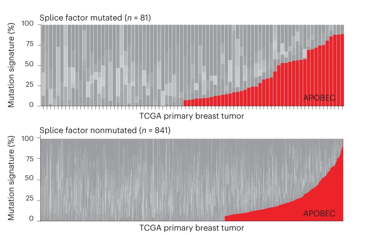 Open access visualization of Stacked Bar Plot, COSMIC, Mutation Signature, TCGA, Breast Tumors