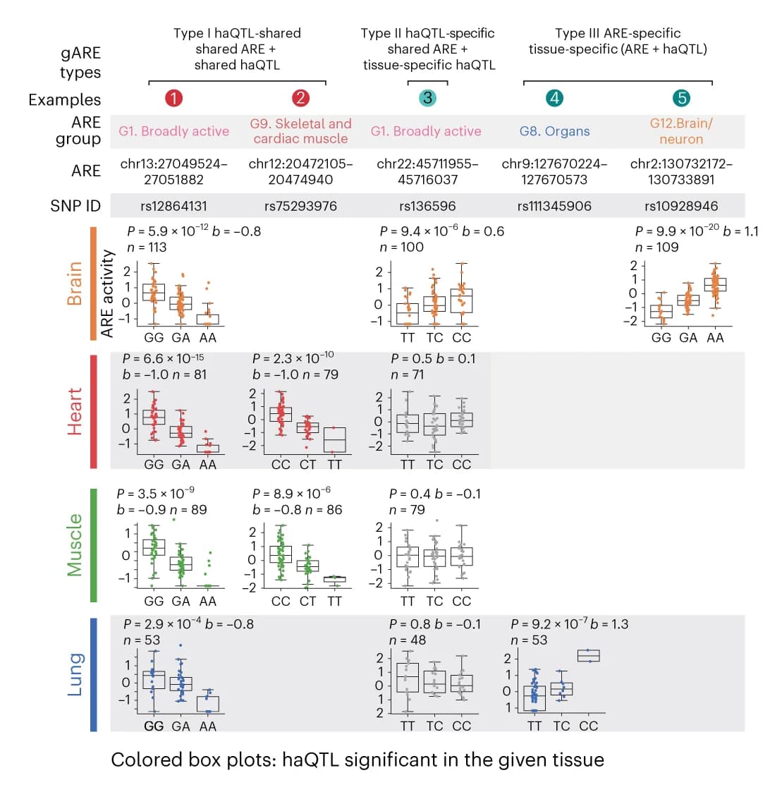 Open access visualization of Box Plot, Scatter Plot, Type I, Type II, Type III