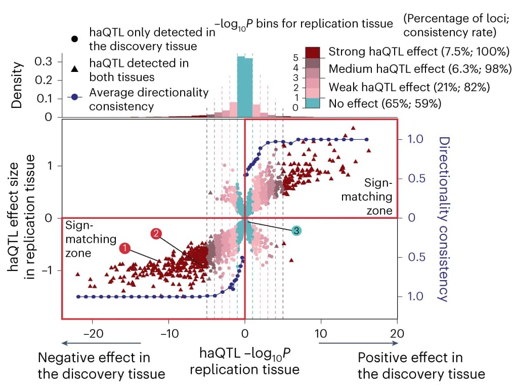 Open access visualization of Scatter Plot, Line Plot, Histogram, haQTL, Tissue Sharing