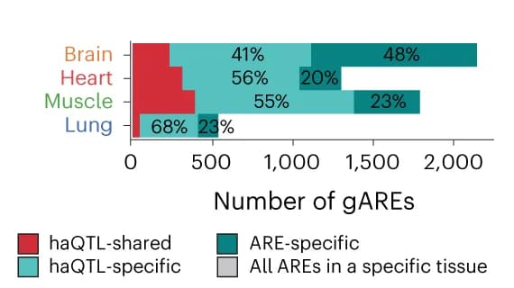 Open access visualization of Stacked Bar Plot, Type I, Type II, Type III, gAREs