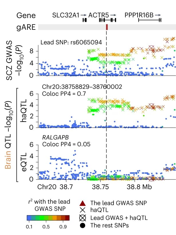 Open access visualization of Scatter Plot, Locuszoom Plot, Manhattan Plot, bulk-eQTL-missing, GWAS
