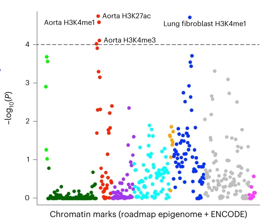 Open access visualization of Scatter Plot, Manhattan Plot, Volcano Plot, SNP heritability, LDSC