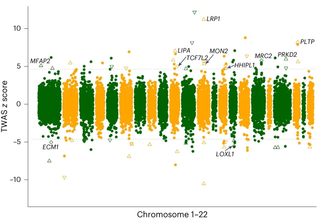 Open access visualization of Scatter Plot, Manhattan Plot, Volcano Plot, Aortic Tissue, TWAS