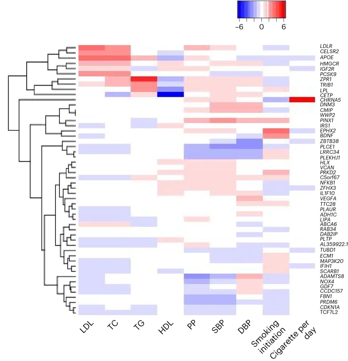 Open access visualization of Heatmap, Clustered, Hierarchical Clustering, Risk Factor Traits, Index Variants
