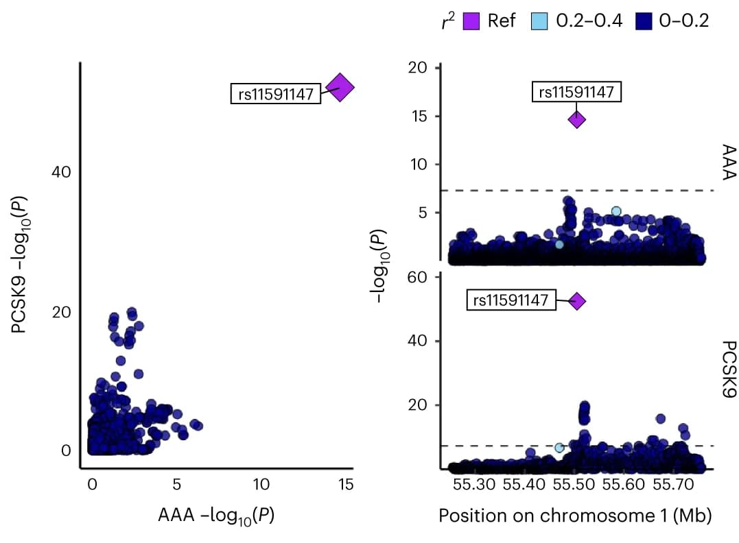 Open access visualization of Scatter Plot, Locuszoom Plot, Volcano Plot, LocusCompare plot, PCSK9 Protein