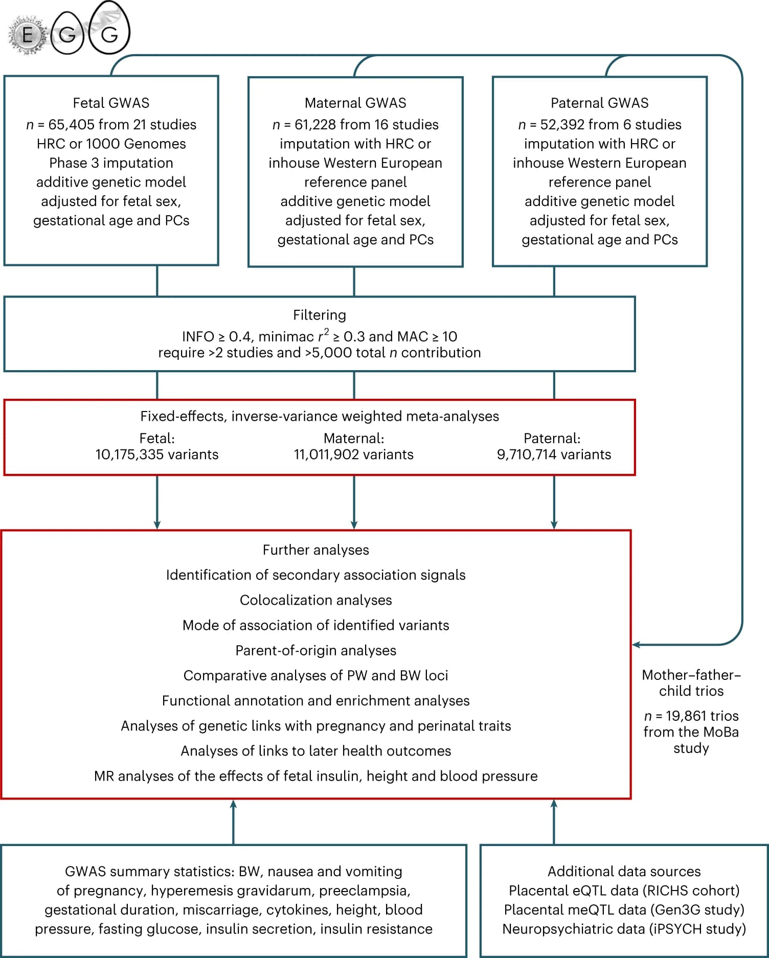 Open access visualization of Workflow, Flowchart