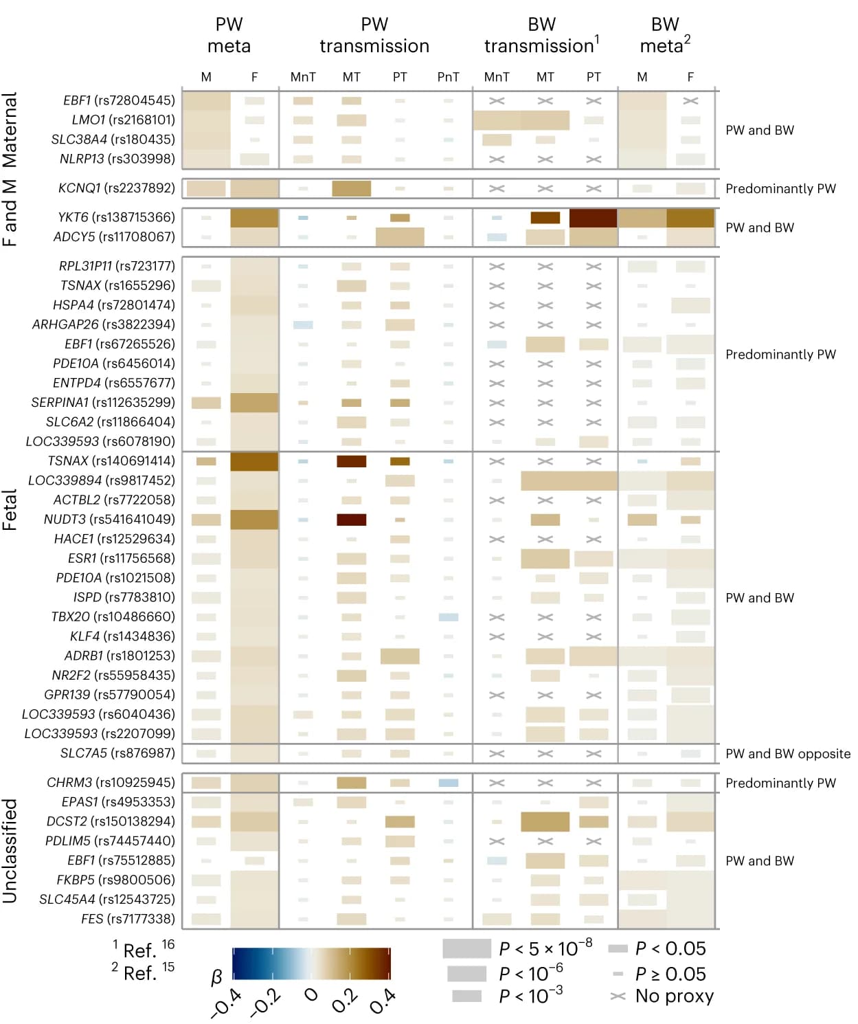 Open access visualization of Heatmap, Effect Size, Significance Estimates, Meta-analysis, Maternal Genome