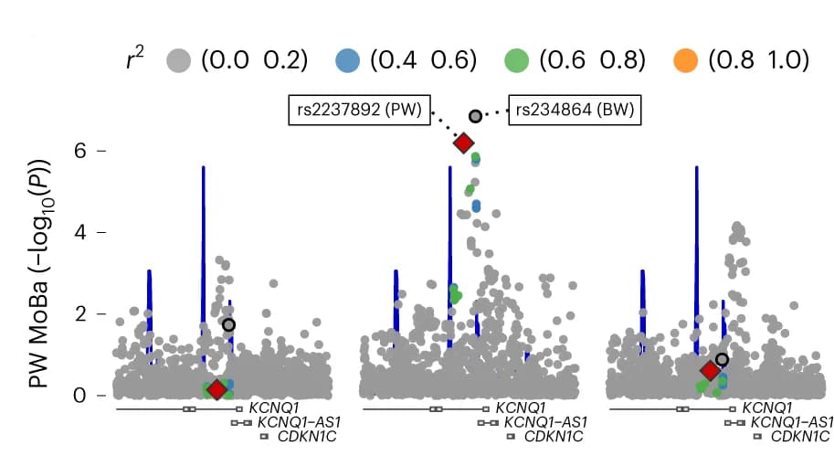 Open access visualization of Scatter Plot, Locuszoom Plot, Bar Plot, Regional Plots, KCNQ1 Locus