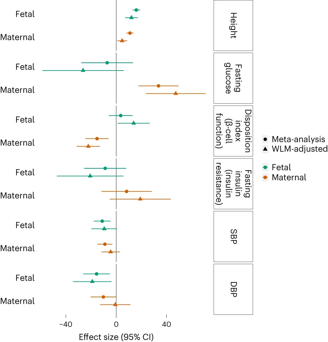 Open access visualization of Forest Plot, Maternal Height, Glycemic Traits, Blood Pressure, Fetal Genetic Predisposition