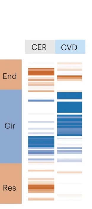 Open access visualization of Heatmap, Topic Loadings, CER, CVD, Diseases