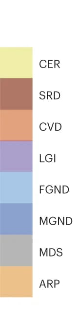 Open access visualization of Stacked Bar Plot, Stacked Bar Plots, Age-Dependent Subtypes, Type 2 Diabetes, Asthma