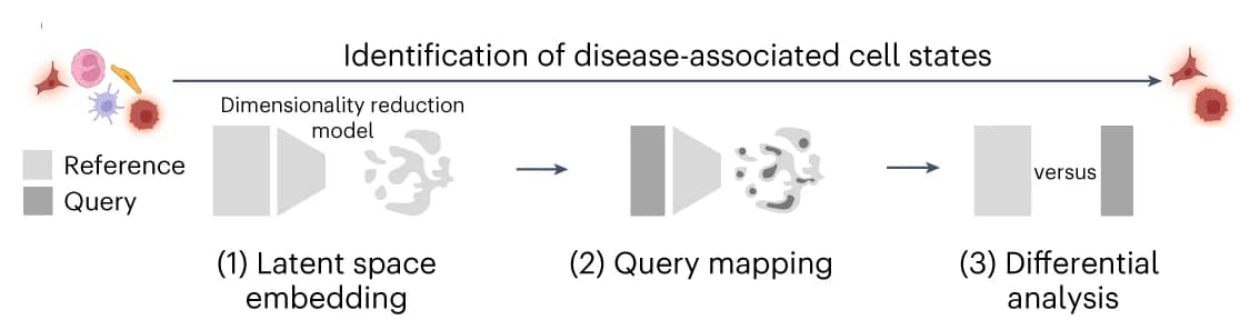 Open access visualization of Workflow, Illustration, Analysis Workflow, Disease-Associated Cell States, Dimensionality Reduction Model