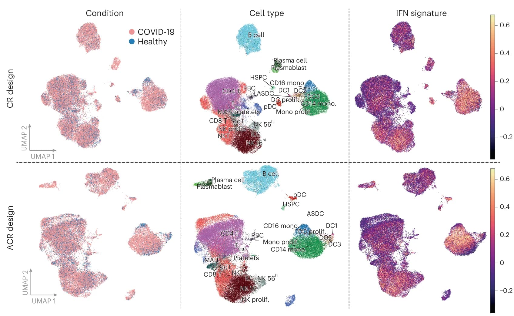 Open access visualization of UMAP, Scatter Plot, Heatmap, UMAP Embedding, COVID-19