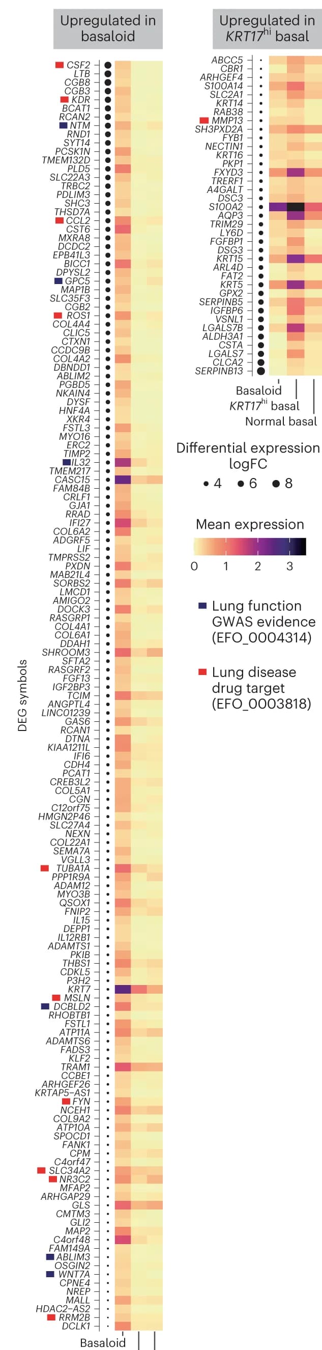 Open access visualization of Heatmap, Clustered, Marker Genes, Aberrant Basal-like Phenotypes, Basaloid Cells