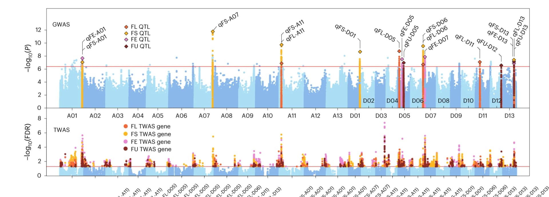 Open access visualization of Scatter Plot, Manhattan Plot, Volcano Plot, GWAS, TWAS