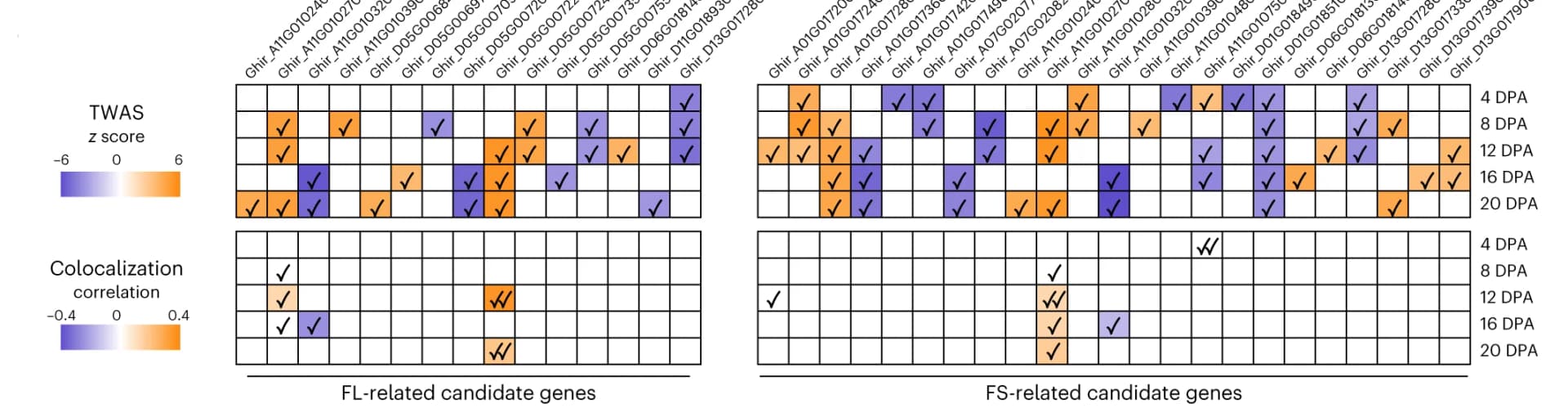 Open access visualization of Heatmap, Phenotypic Effects, TWAS Z Score, Candidate Genes, Gene Expression