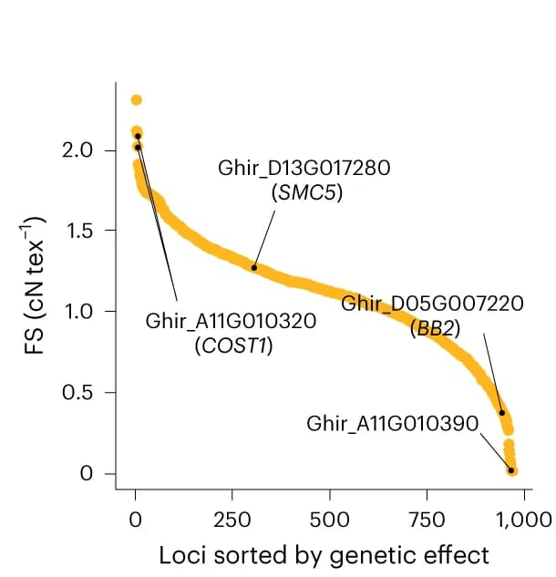 Open access visualization of Scatter Plot, Line Plot, Dot Plot, Genetic Effect, Variants