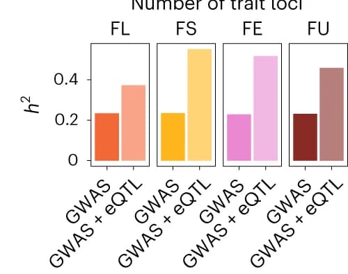 Open access visualization of Clustered, Bar Plot, Heritability, GWAS Loci, eQTLs