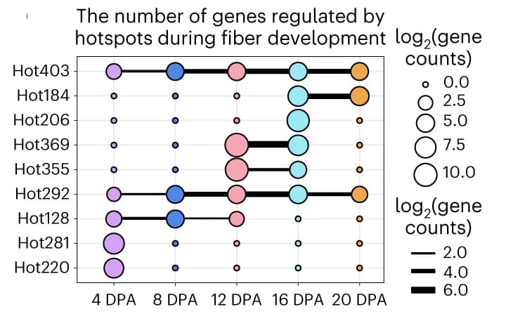Open access visualization of Bubble Plot, Genes, Fiber Development, Hotspots