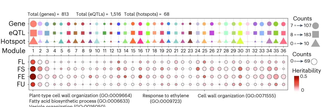 Open access visualization of Bubble Plot, Genes, eQTLs, Hotspots, Fiber Quality-Related Traits