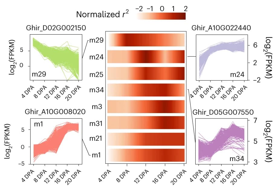 Open access visualization of Line Plot, Heatmap, Fiber Length, Modules, Genes