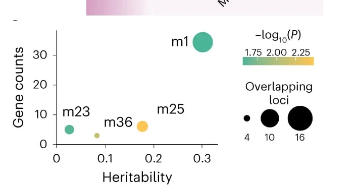 Open access visualization of Bubble Plot, Scatter Plot, Module Enrichment Analysis, Loci