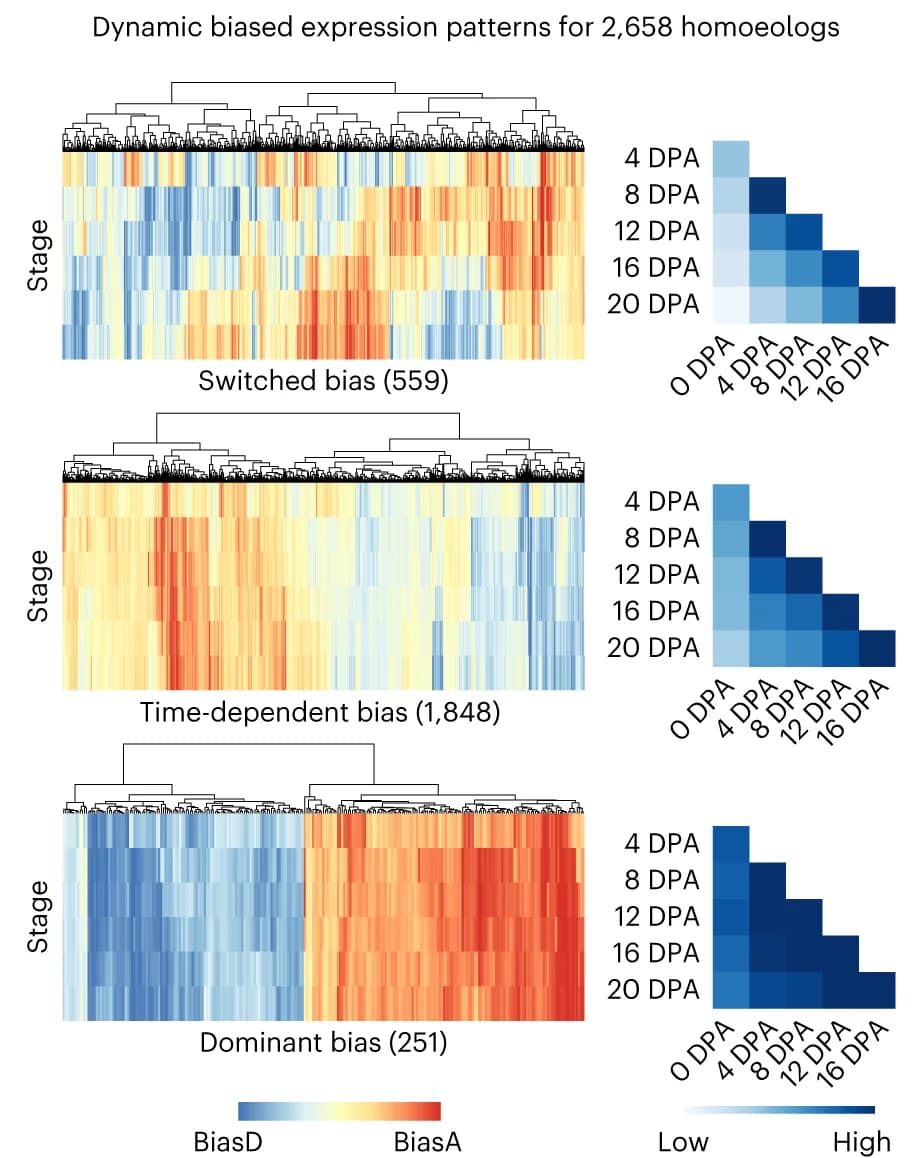 Open access visualization of Heatmap, Clustered, Switched Bias, Time-Dependent Bias, Dominant Bias