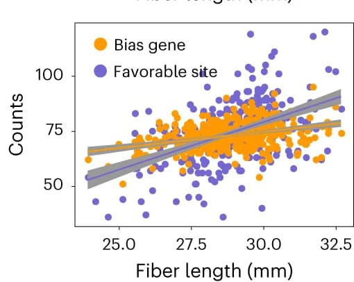 Open access visualization of Scatter Plot, Regression Plot, Correlation, Gene Pairs, Biased Expression