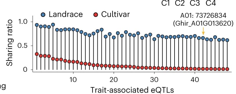 Open access visualization of Scatter Plot, Error Bars, Favorable Allele Frequency, Loci