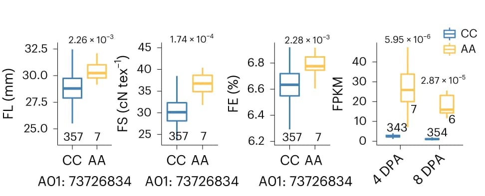 Open access visualization of Box Plot, Fiber Traits, FL, FS, FE