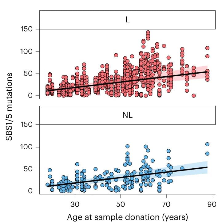 Open access visualization of Scatter Plot, Regression Plot, Mutation Burden, SBS1/5, Age