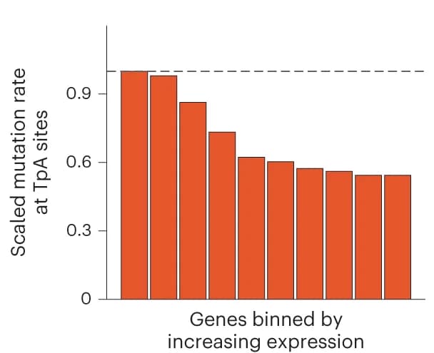 Open access visualization of Bar Plot, Mutation Rate, Gene Expression, Genes