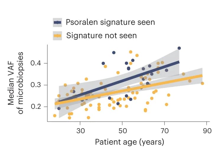 Open access visualization of Scatter Plot, Regression Plot, VAFs, Microbiopsies, Patient Age