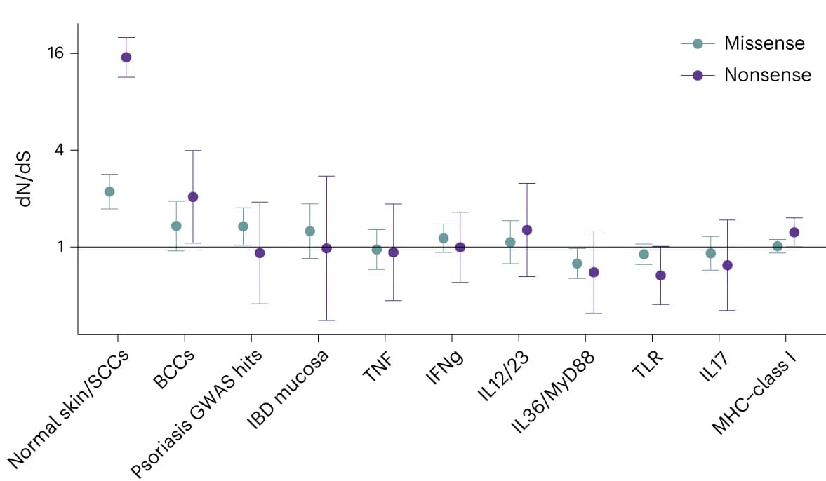 Open access visualization of Scatter Plot, Error Bars, Pathway, Genes, Keratinocyte Cancers