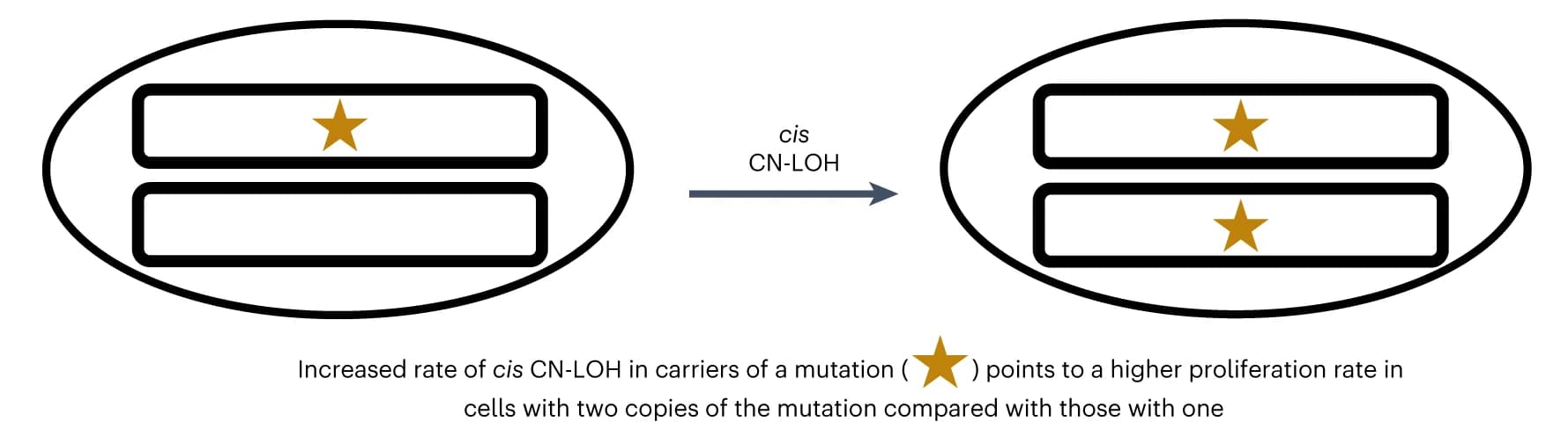 Open access visualization of Illustration, Workflow, CHIP mutation, CN-LOH event, Proliferative advantage