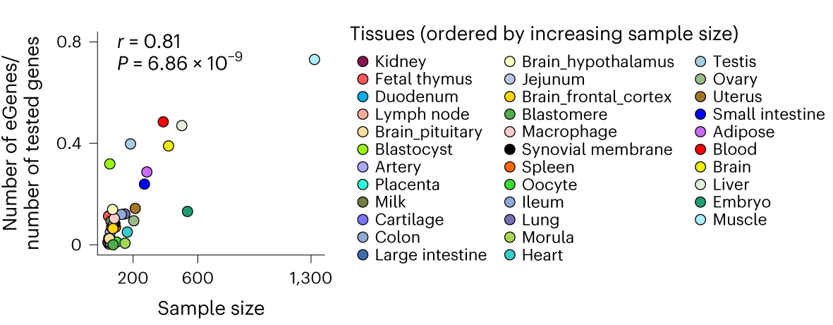 Open access visualization of Scatter Plot, eGenes, Sample Size, Tissues