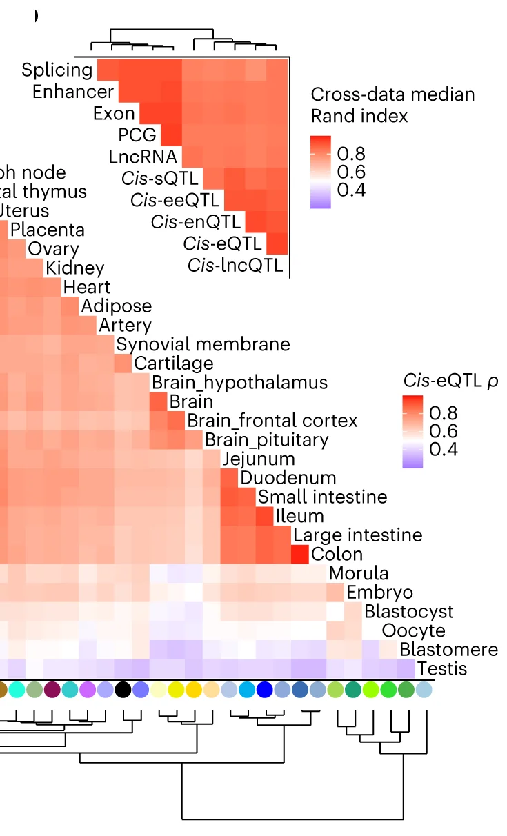 Open access visualization of Heatmap, Clustered, Similarity, Rand Index, Tissue Clustering