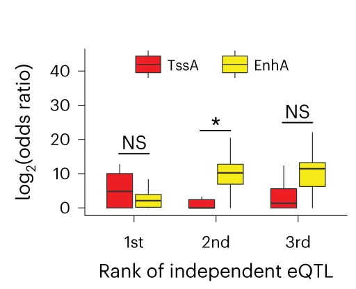 Open access visualization of Box Plot, Cis-eQTL, Chromatin States, Active TSS, Active Enhancers