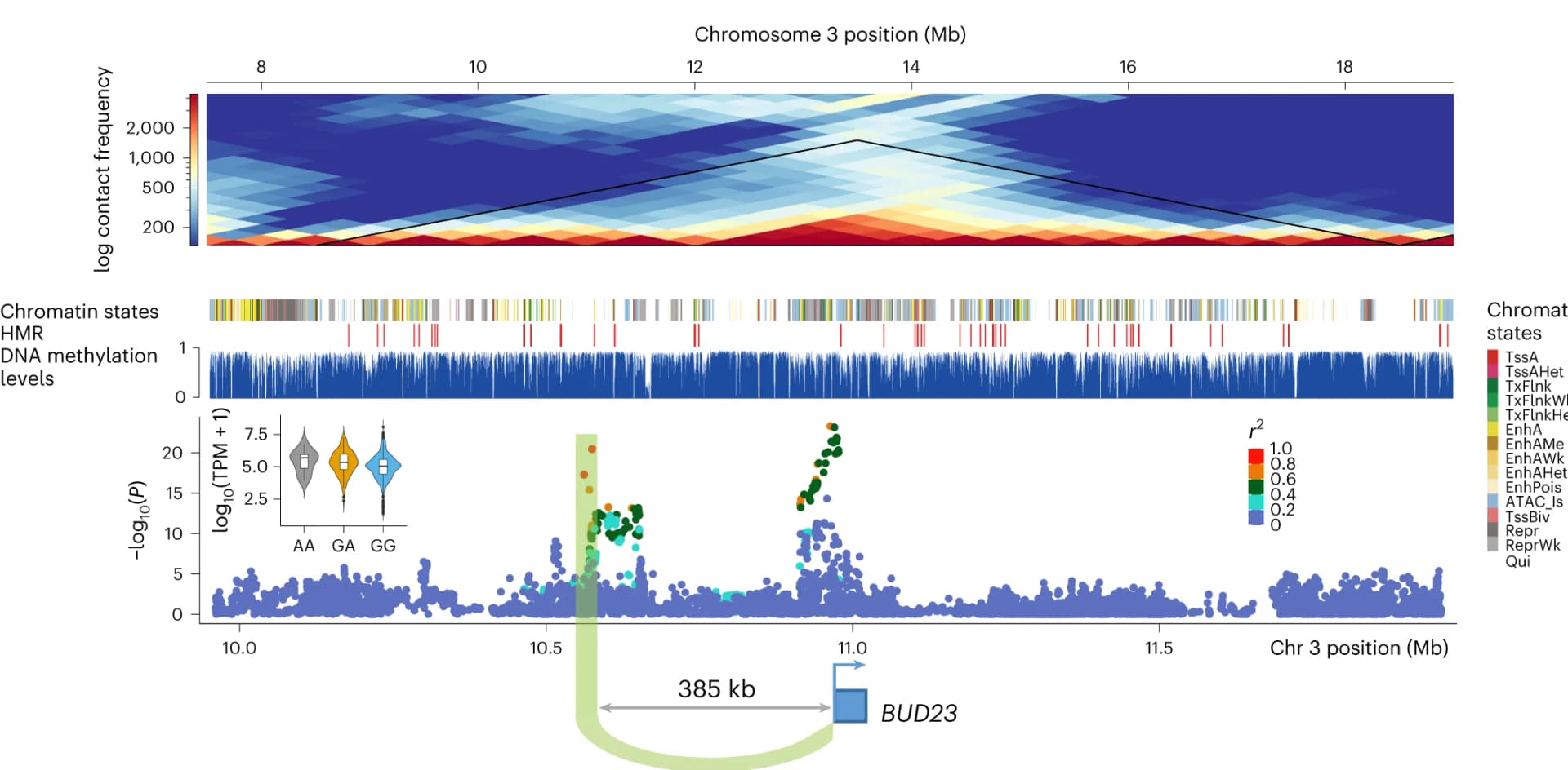 Open access visualization of Line Plot, Heatmap, Violin Plot, Scatter Plot, BUD23