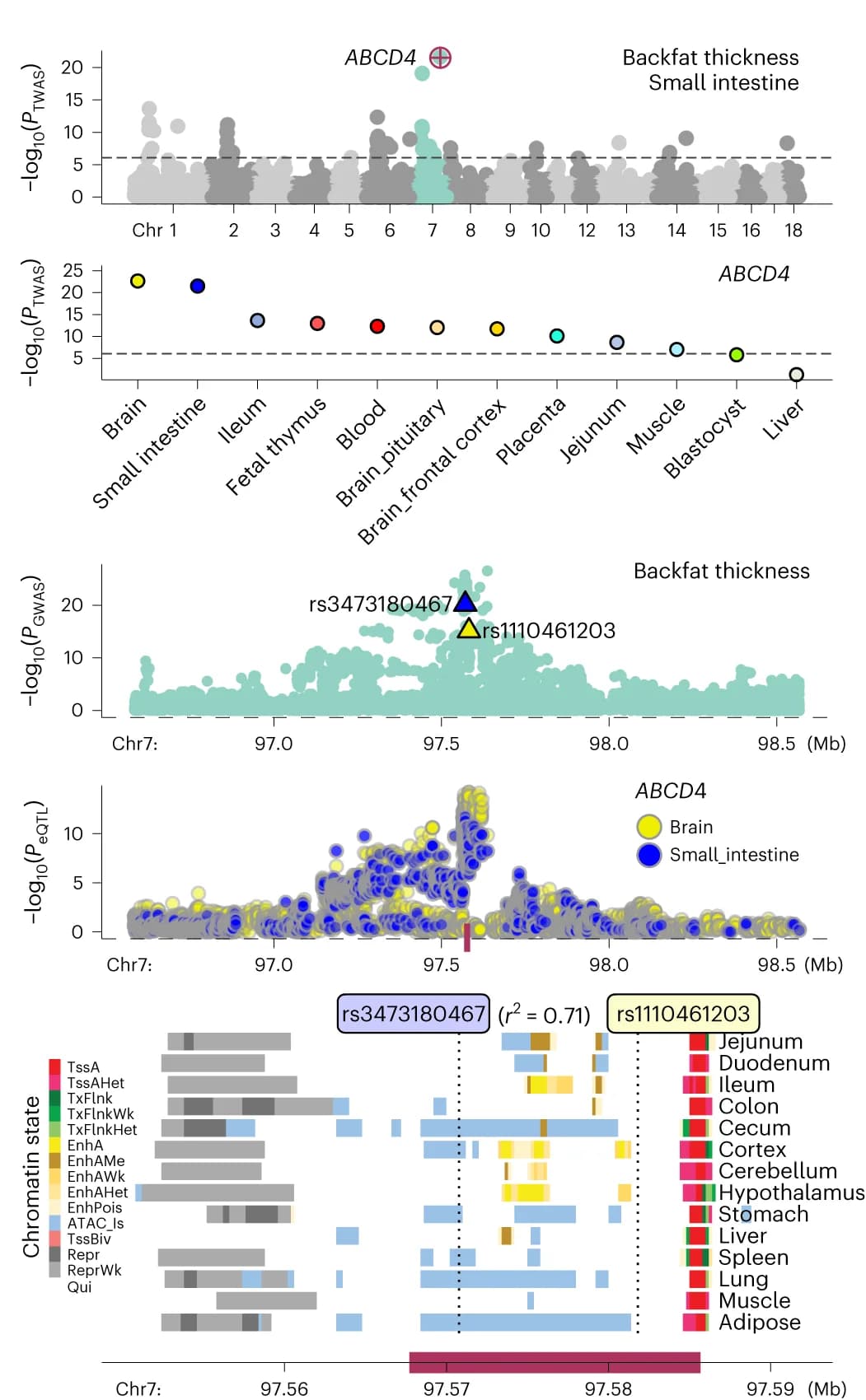 Open access visualization of Scatter Plot, Bar Plot, ABCD4, BFT, TWAS