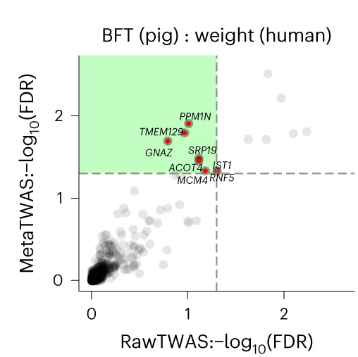 Open access visualization of Scatter Plot, FDR, Discovered Genes, Human TWAS, Cross-Species meta-TWAS