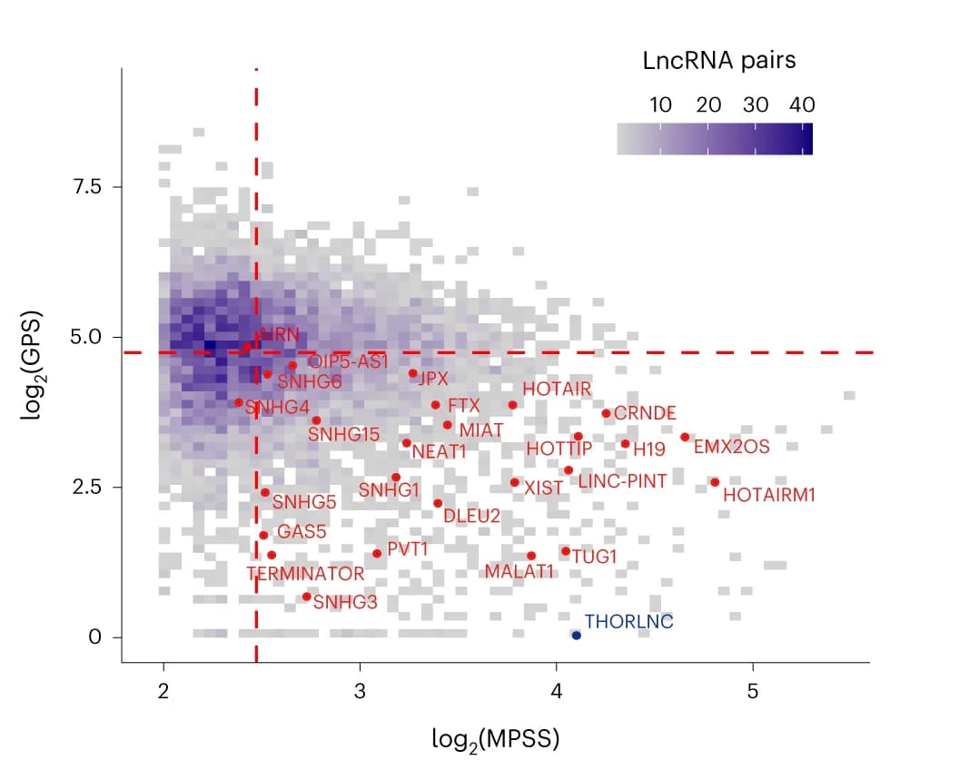 Open access visualization of Scatter Plot, Heatmap, coPARSE-lncRNA, Motif Distribution Patterns, Human