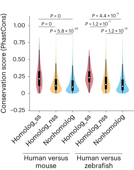 Open access visualization of Violin Plot, Box Plot, Conservation Scores, coPARSE-lncRNA, Homolog Pairs