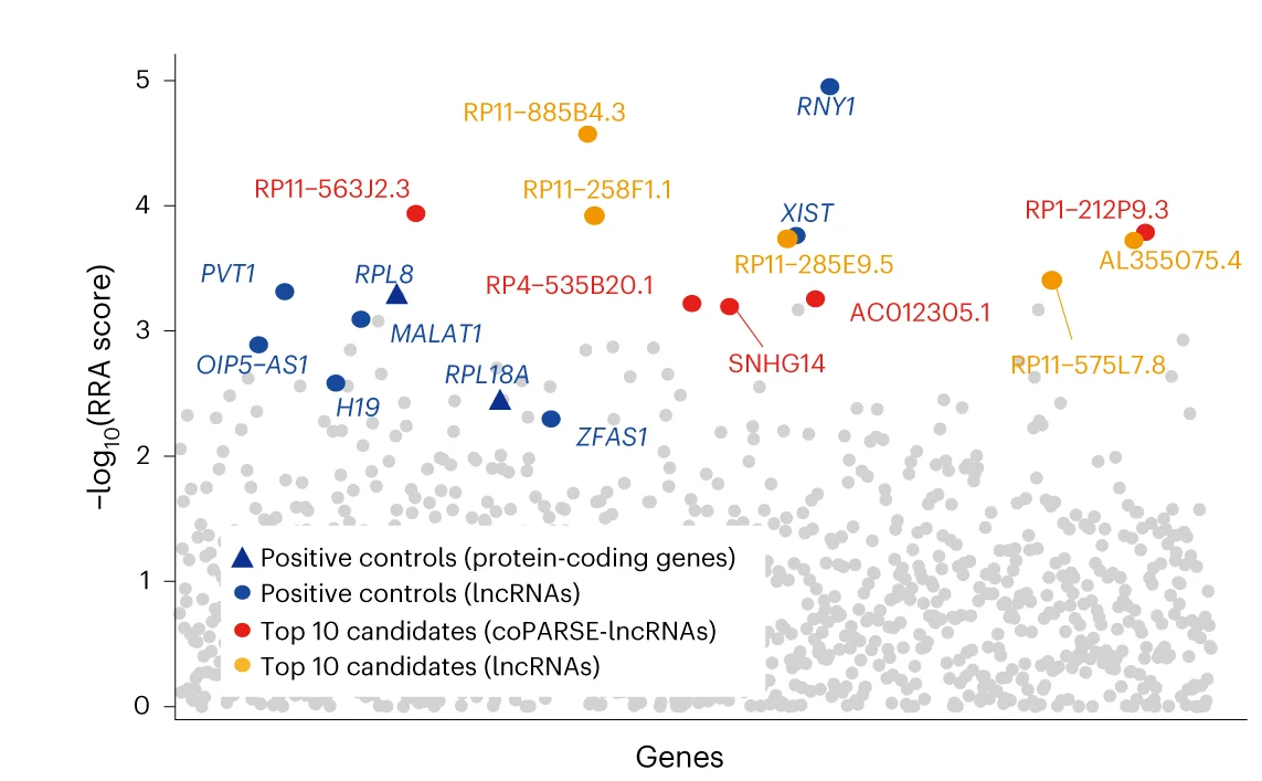 Open access visualization of Scatter Plot, RRA Scores, Negatively Selected lncRNAs, coPARSE-lncRNAs, Non-coPARSE-lncRNAs