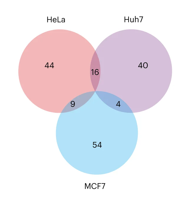 Open access visualization of Venn Diagram, Negatively Selected lncRNAs, Cell Lines