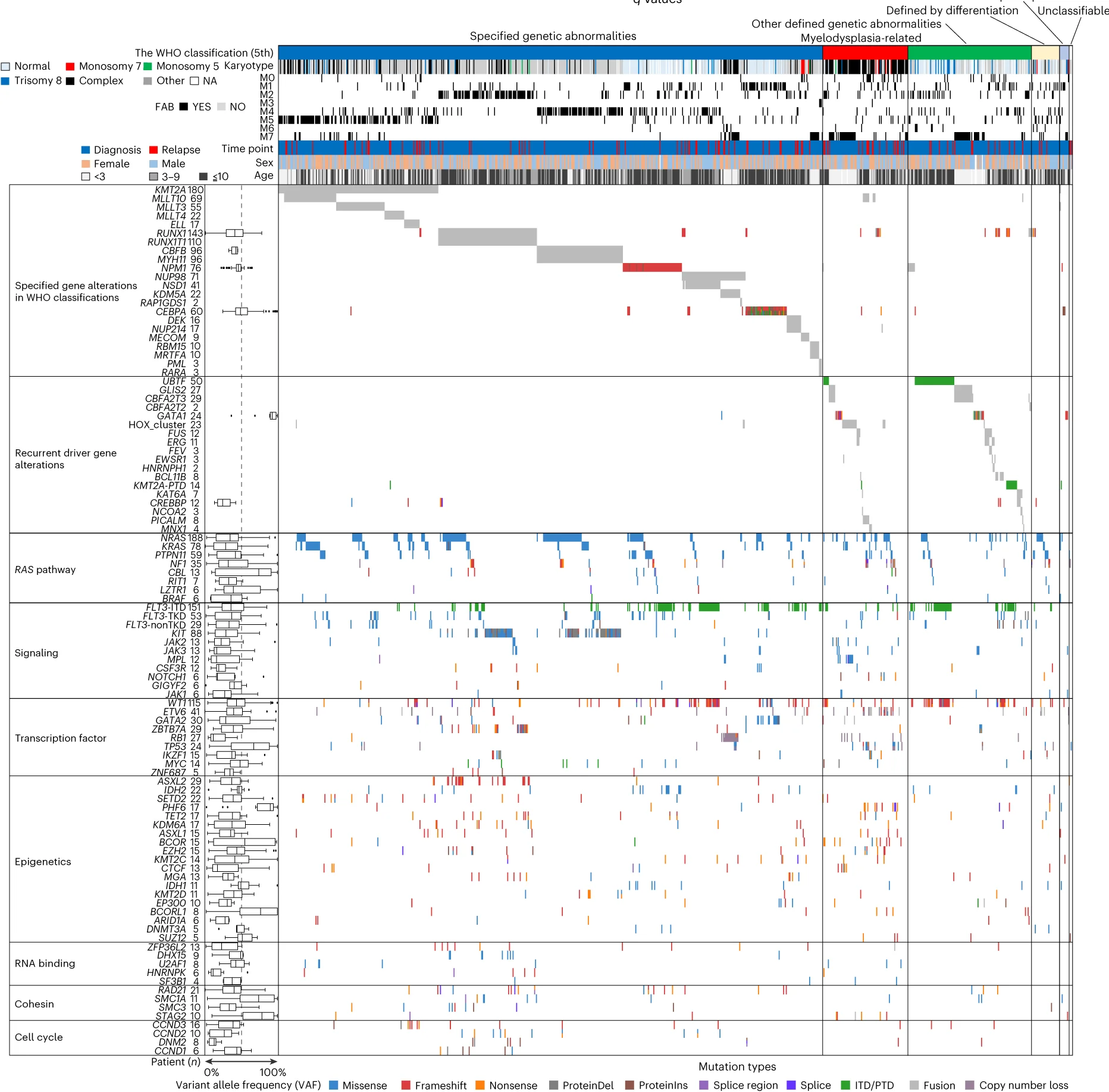 Open access visualization of Heatmap, Box Plot, Genomic Landscape, WHO Classification, pAML