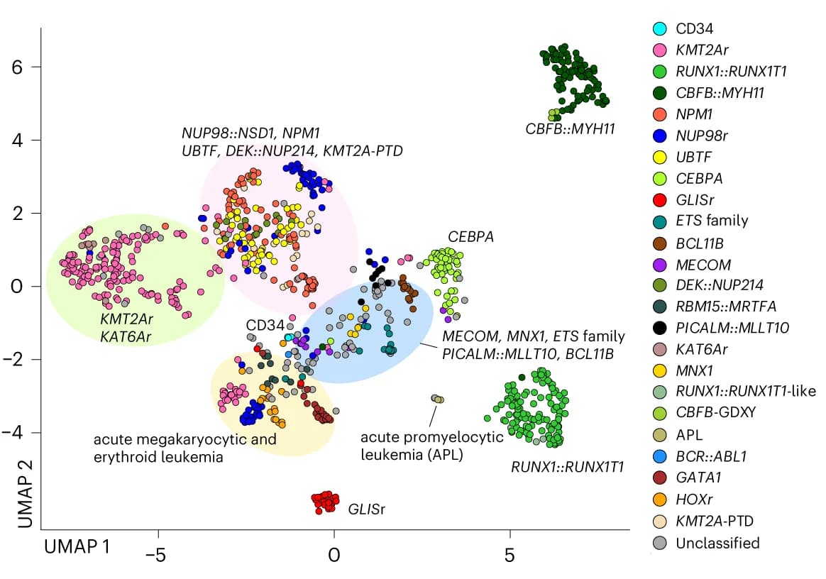 Open access visualization of Scatter Plot, UMAP, UMAP Plot, pAML Cohort, Cord Blood