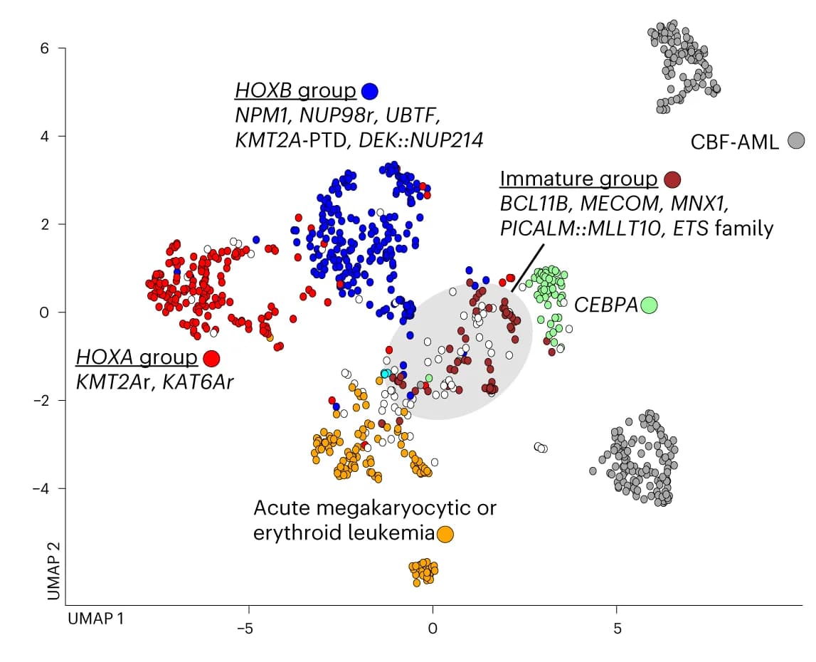 Open access visualization of Scatter Plot, UMAP, UMAP Plot, Molecular Categories, HOX Cluster