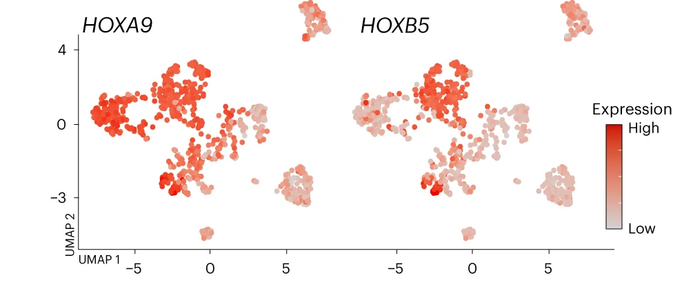 Open access visualization of Scatter Plot, UMAP, HOXA9, HOXB5, UMAP Plot